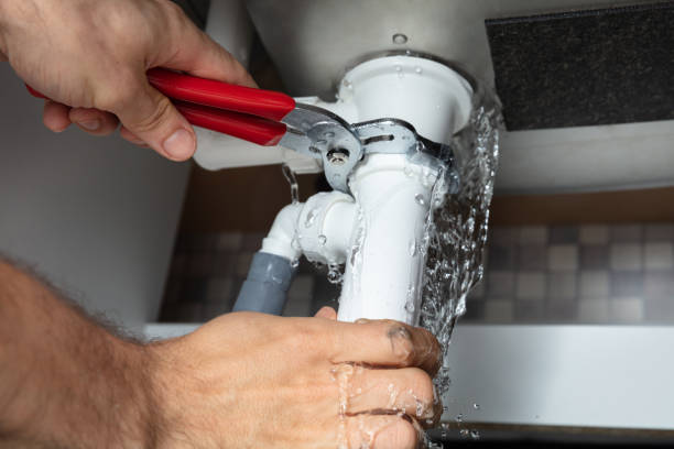 Best Sewage cleanup and water damage restoration  in Fair Grove, MO