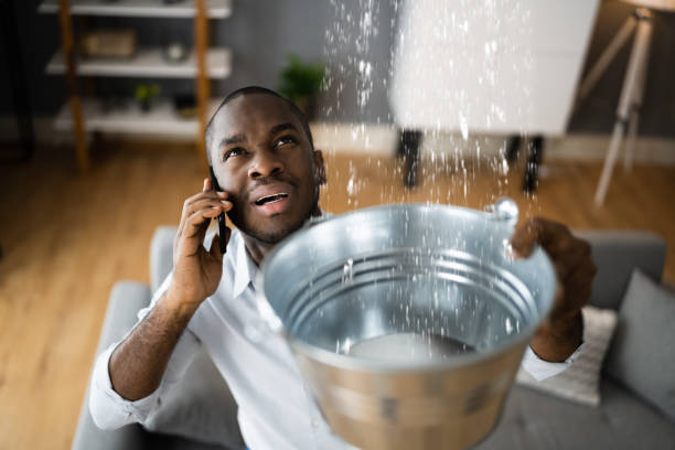 Best Local water damage restoration  in Fair Grove, MO