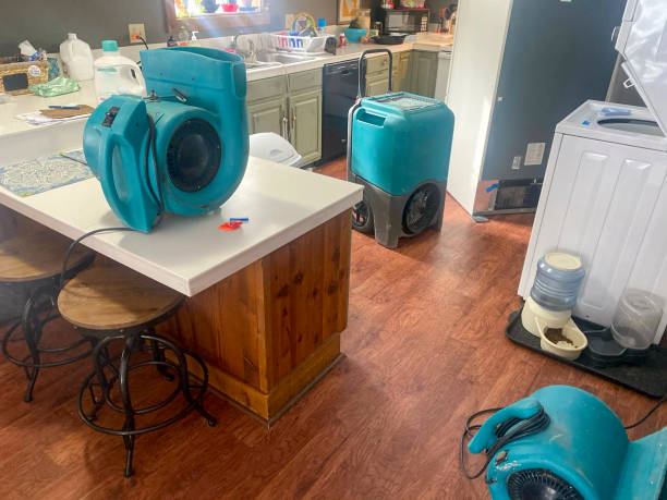Best Ceiling water damage repair  in Fair Grove, MO