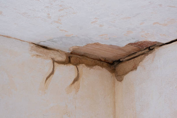 Best Emergency water damage restoration  in Fair Grove, MO