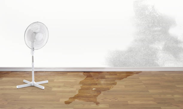 Best Flood restoration services  in Fair Grove, MO