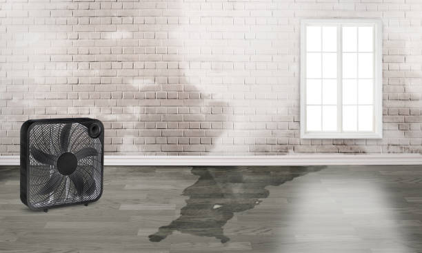 Best Water damage restoration near me  in Fair Grove, MO