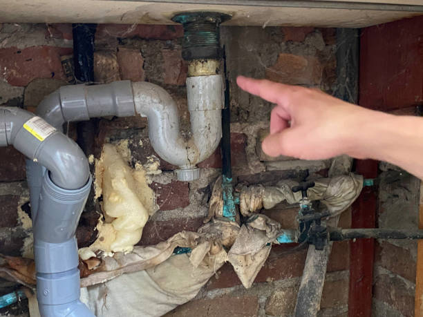  Fair Grove, MO Water damage restoration Pros