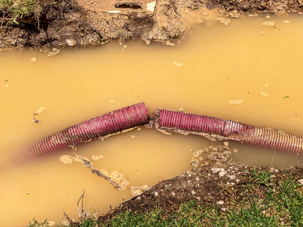 Best Water damage restoration near me  in Fair Grove, MO
