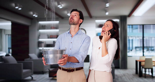 Best Flooded house restoration  in Fair Grove, MO
